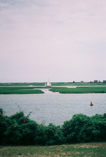 sailing on the cape