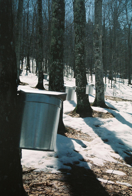 The collectors, Vermont