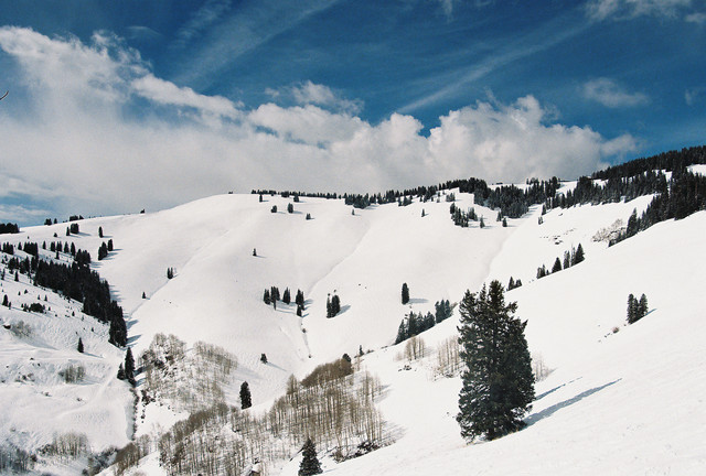 Vail Back Bowl