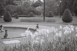 Public Gardens, Boston