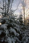 Thanksgiving snow in Vermont