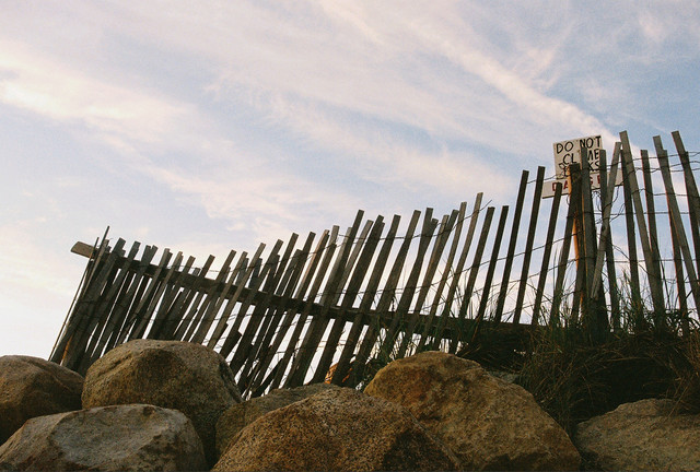 Cape Fence.jpg