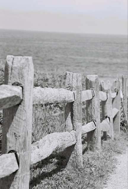 Fence to Ocean.jpg