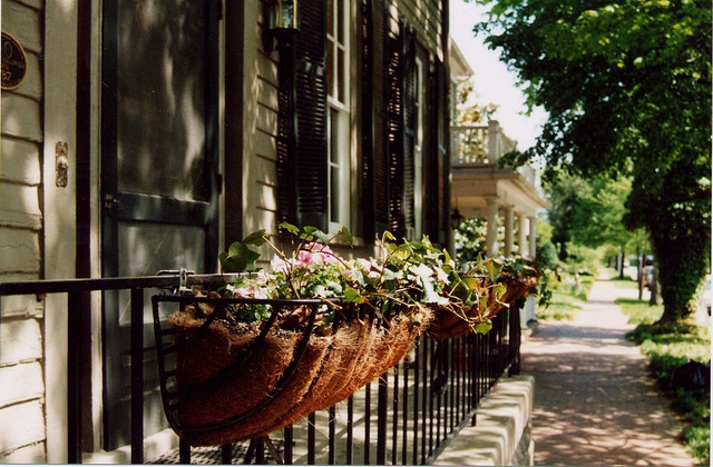 Flowers in Fredericksburg, VA