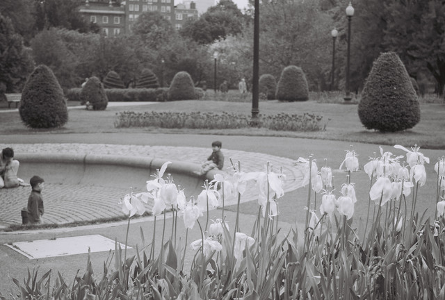 Public Gardens