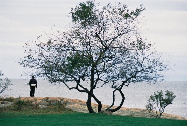 Fisherman and Tree