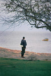 Fisherman and Tree II