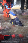 polarplunge_205.jpg