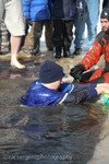 polarplunge_220.jpg